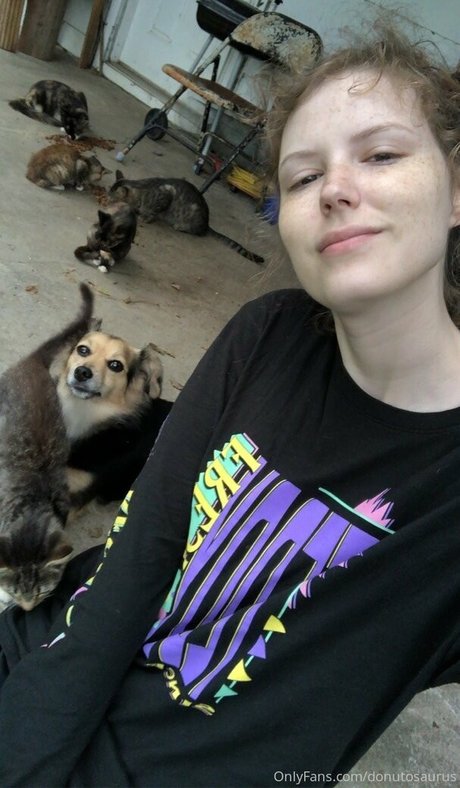 donutosaurus ホットスター ギャラリー