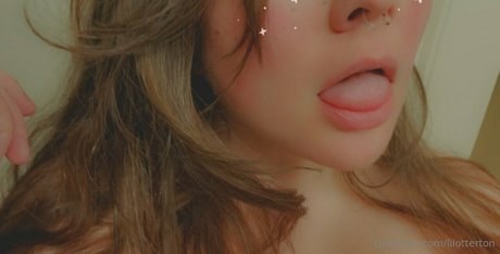 lilotterton ホットスター ギャラリー