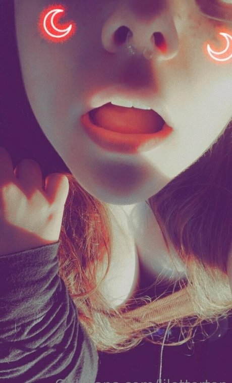 lilotterton 限定モデル 写真