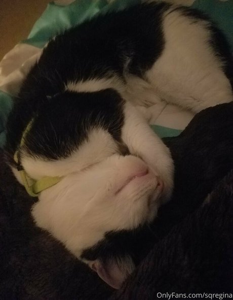 イスラム教徒のオンリーファンズ 無料セックス ギャラリー