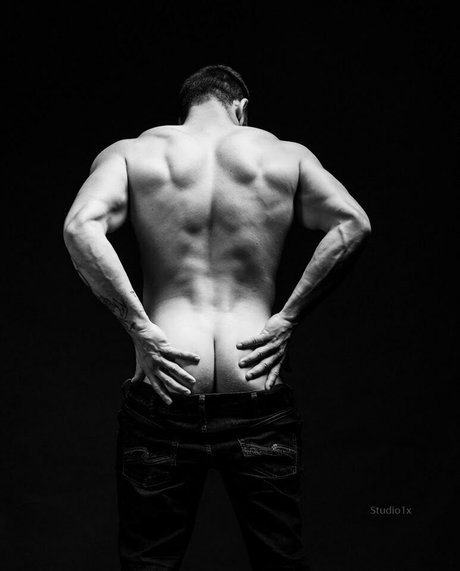 トランスセクシュアルオンリーファンズ ポルノ 画像