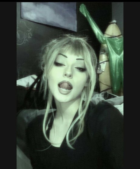 Nivvky スター 画像