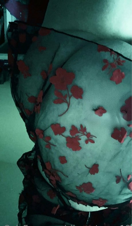 silver stormz19 HDモデル 写真