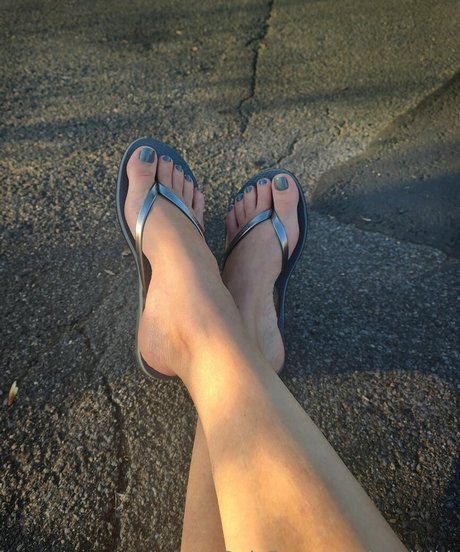 msdidi k 限定スター ギャラリー