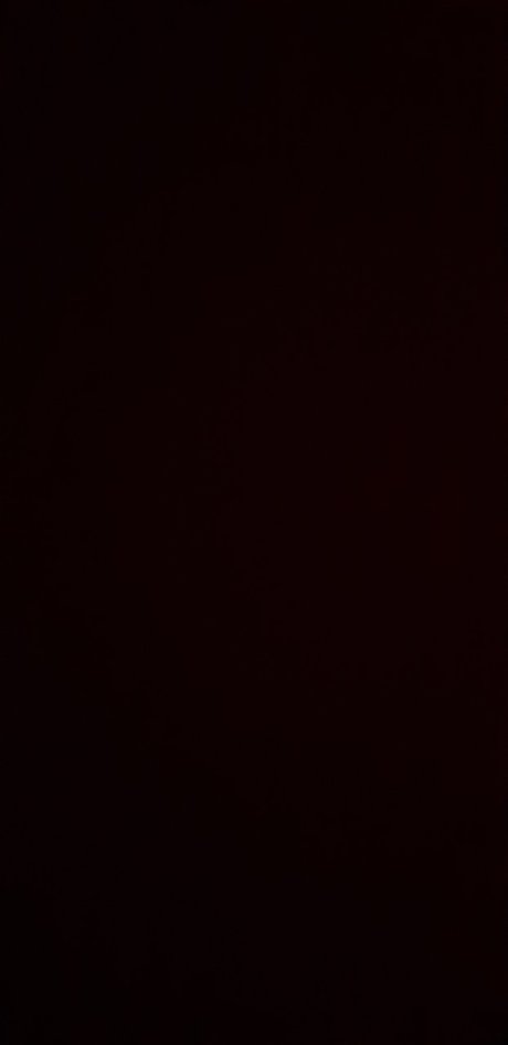 Mexits トップスター 写真