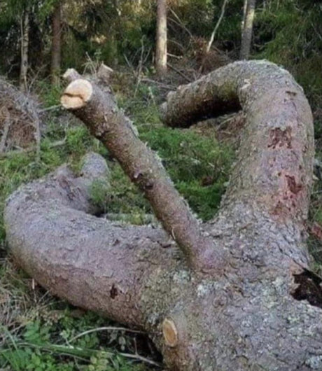 ウェブカメラ オンリーファンズ アートxxx 写真