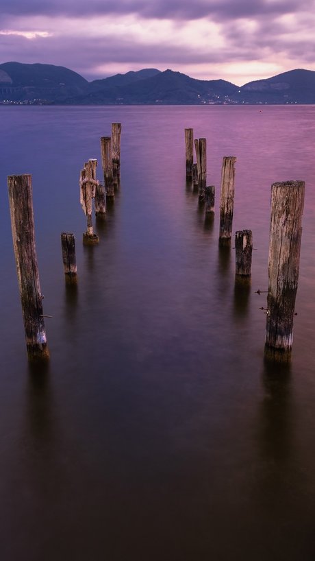 CarlyMR ポルノスター セックス アーカイブ