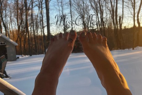 Miss Coffeets ポルノスター 独占 画像