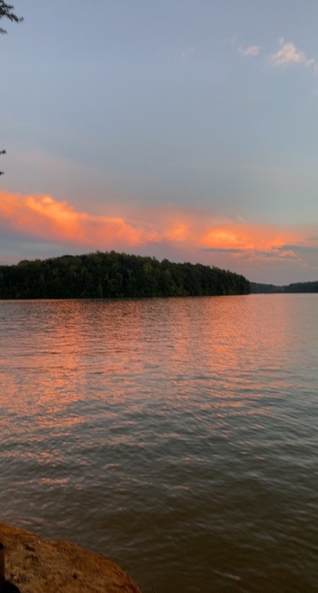 MissBehavior ポルノスター パーフェクト 写真