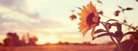 Sunnybunnysunshine 素敵なポルノスター 写真