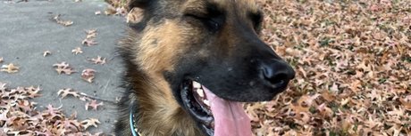 aerie_ セックス女優 ギャラリー