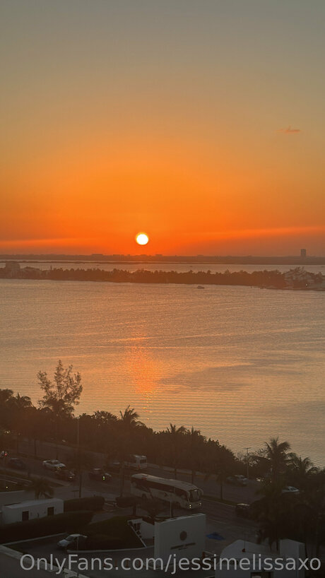 黒檀の猫オンリーファンズ 無料 ギャラリー