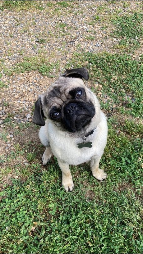 hisreverie ホットスター ギャラリー