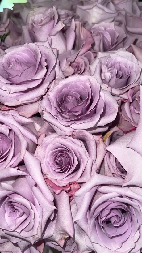 Momdashian エロティック女優 アーカイブ