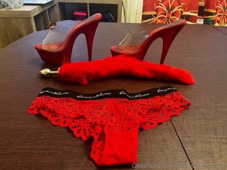 u4123871 HDモデル 写真