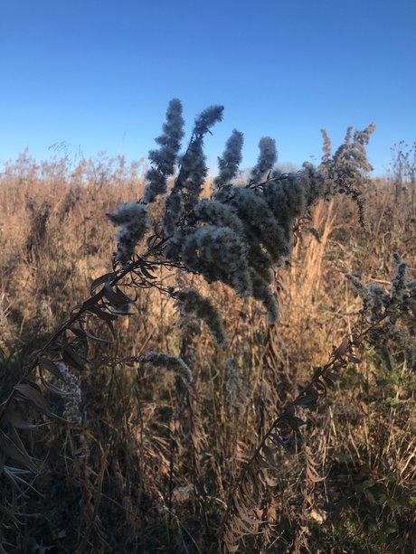 harper エロティックなモデル ギャラリー