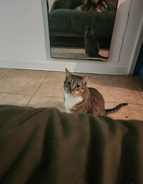 adriivy ヌードモデル 画像