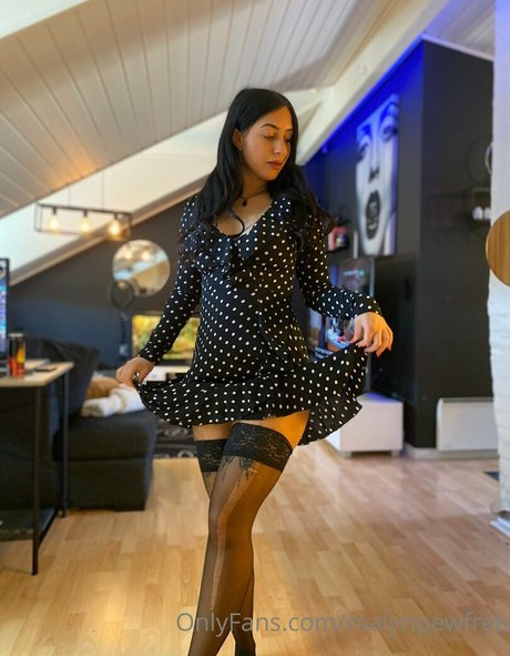 malynpewfree HDモデル 写真