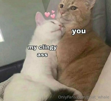 phat whale モデル 写真