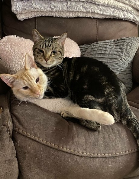 バレーボール オンリーファンズ 無料xxx 写真