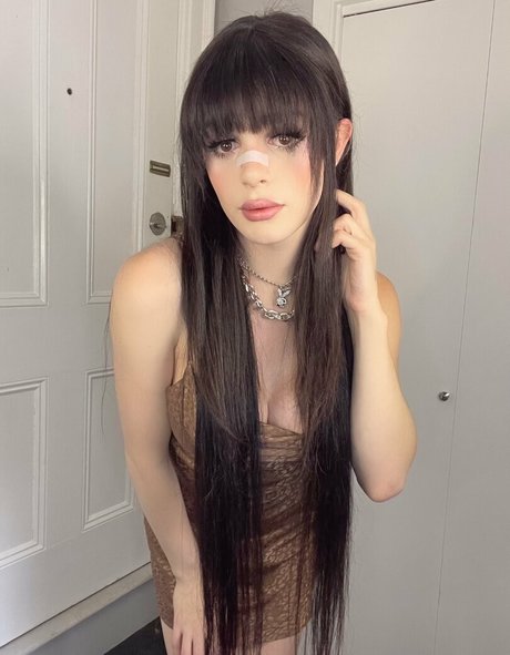 tsangellica アートモデル アーカイブ