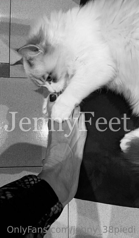 jenny 38piedi XXXモデル 画像