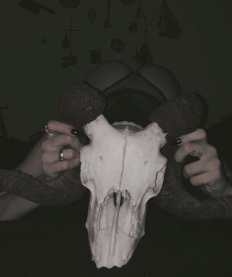 Fleshf1y セクシー女優 写真