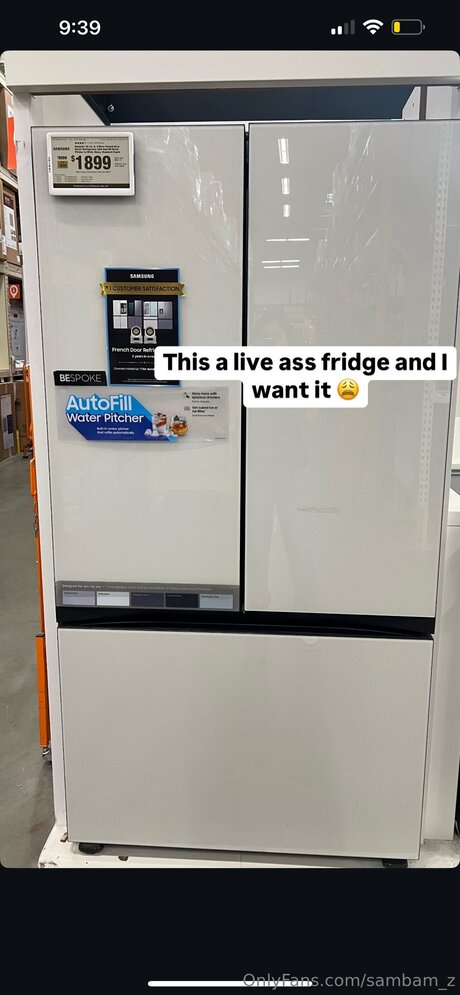 アジアンツインズOnlyFans アート裸 写真