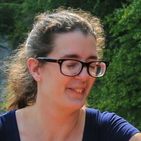 JandV アートスター 写真