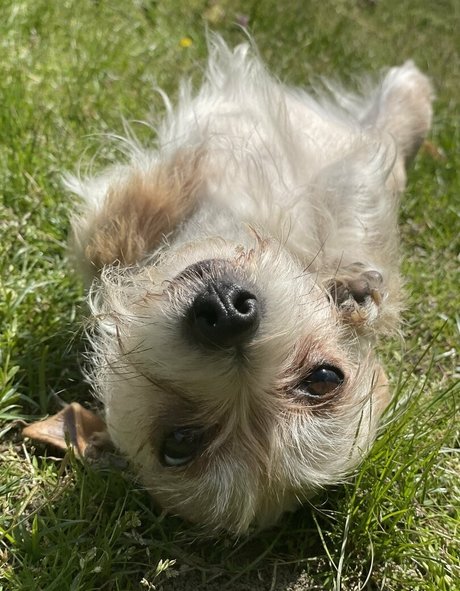 ママのアナルOnlyFans ポルノ 写真