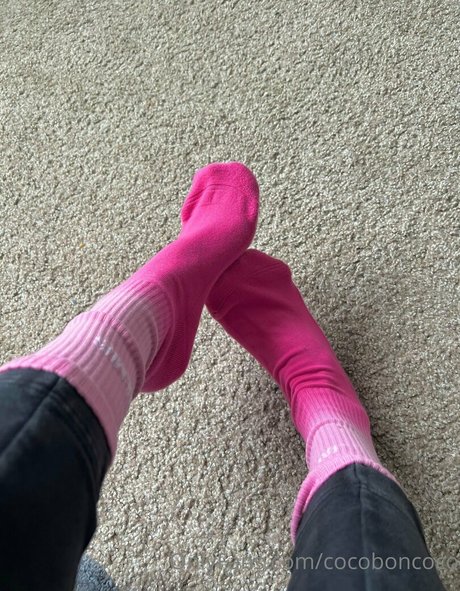 cocofreda 限定スター ギャラリー