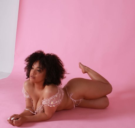 Feelinfree エロティックなスター 画像