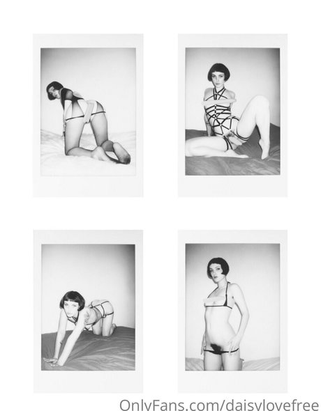 daisylovefree 美しいモデル 画像