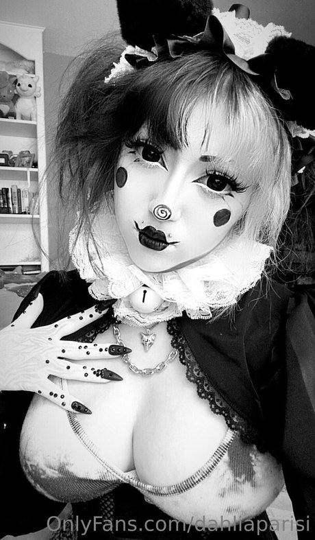 dahliaparisi 無料スター 写真