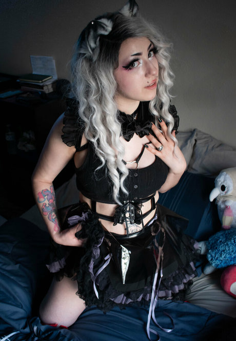 dahliaparisi 完璧なスター 写真