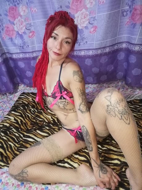 Gatita Feleena スター xxx ギャラリー