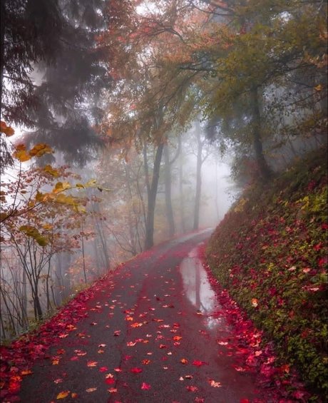 Aconite 独占ポルノスター 画像