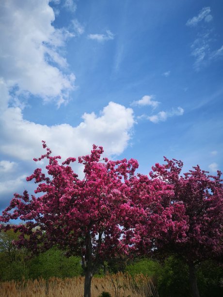 Echoiing エロティックモデル 画像