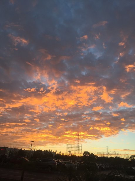 Stef_ 無料のスター 写真