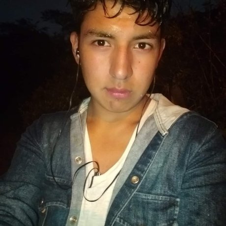 Delicias latinas 限定スター 写真