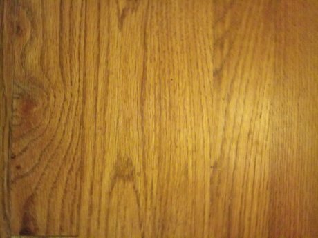 Dirty Dann セクシーなスター 写真