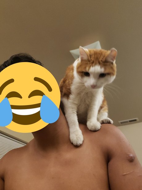 ニューハーフアナルOnlyFans トップ 画像