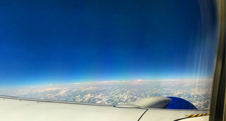 wesley fosnaugh ポルノスター アート 写真