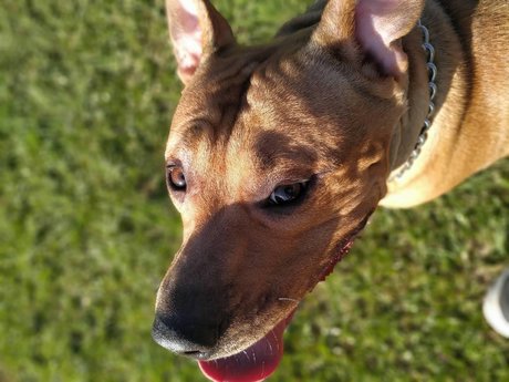 Augusto Xavier ポルノスター 裸 写真