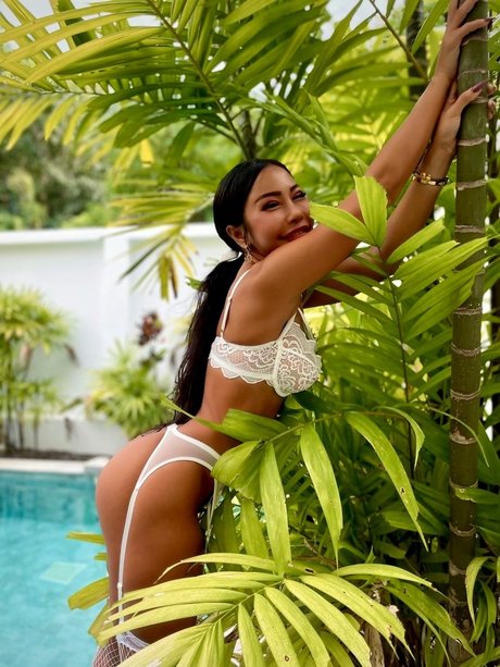 Naughty Cho 最高のスター 画像