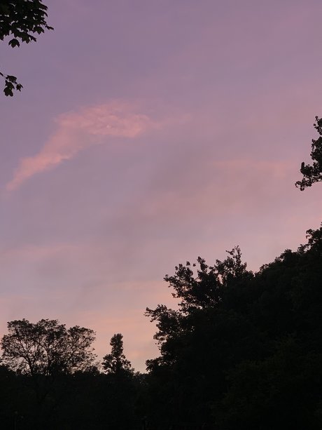 巨尻オンリーファン 裸 画像