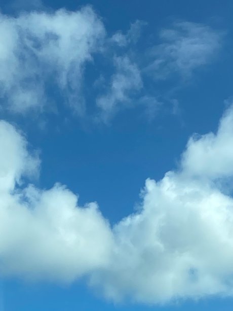 濡れたパンティーOnlyFans アートポルノ 写真