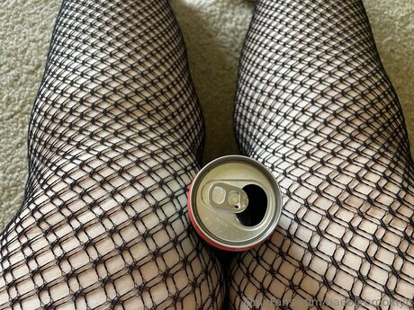 ルビーオンリーファン ベスト 写真