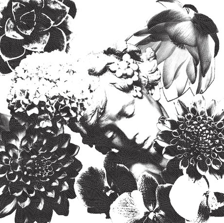 BigDaddyLongLegs 完璧なポルノスター ギャラリー