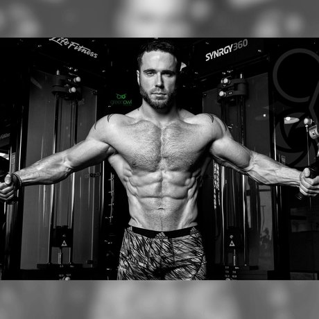 Danny Steele FREE 完璧なスター 画像